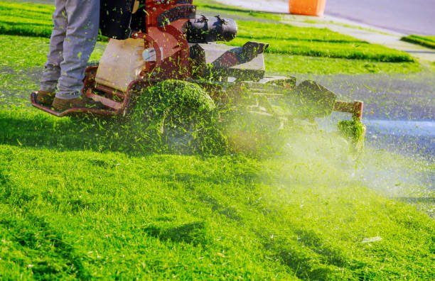 Lawn care in progress — replace with your own photo